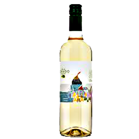 ECHEVERRIA VALLE DORADO SAUVIGNON BLANC
